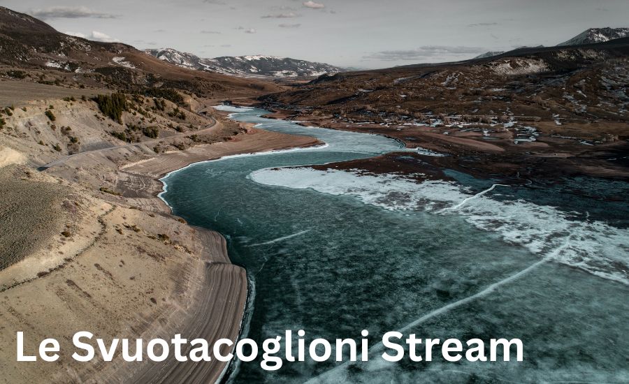 le svuotacoglioni stream