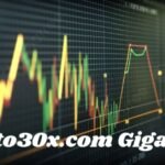 crypto30x.com gigachad