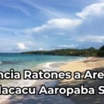 distancia ratones a areias de macacu garopaba sc